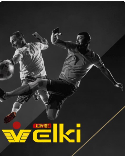 Velki Tips – Agent Number Verify Guide